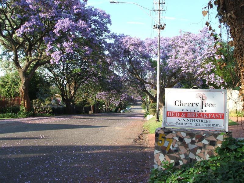 Cherry Tree Cottage B&B Linden Johannesburg Exterior foto