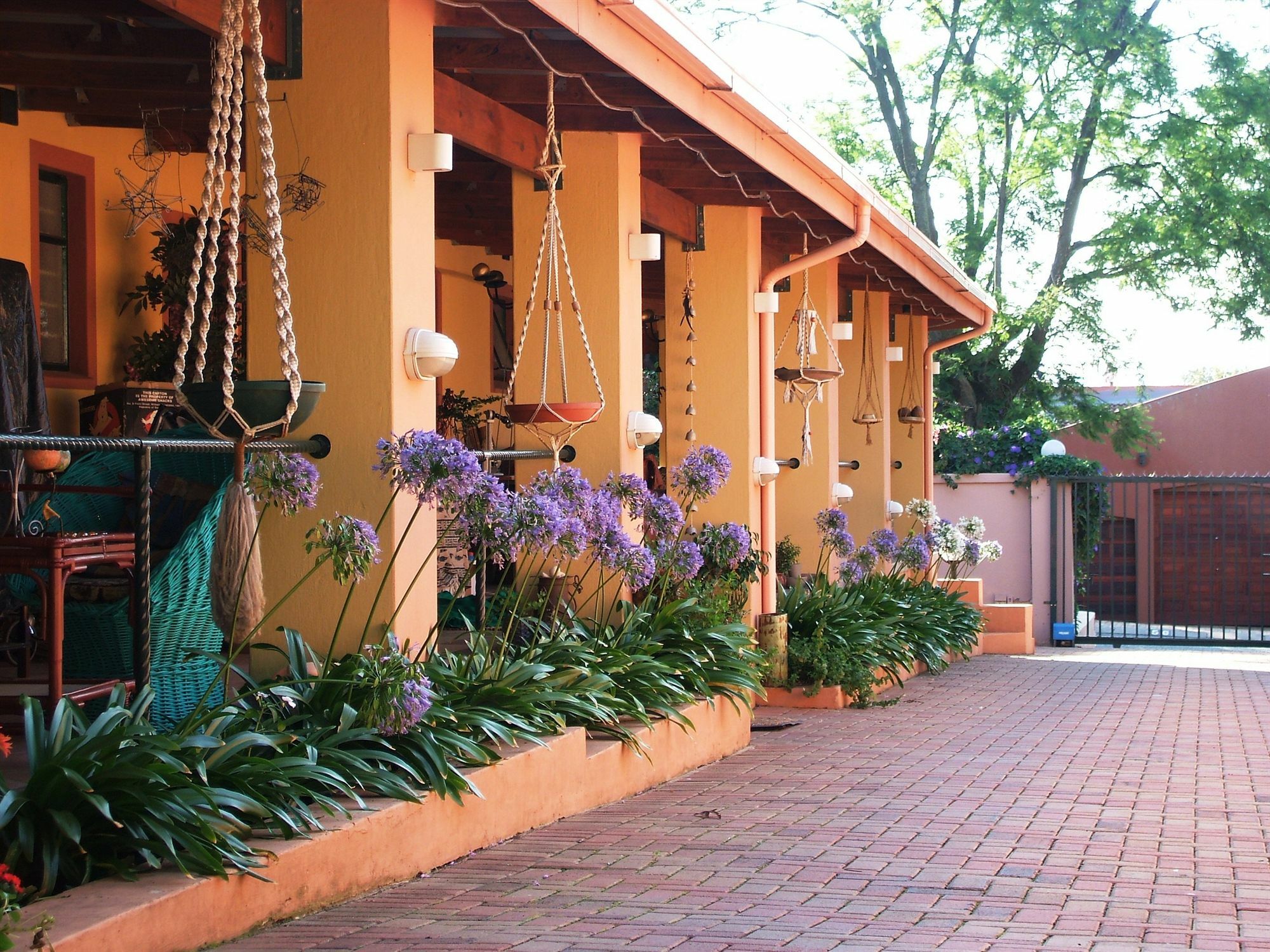 Cherry Tree Cottage B&B Linden Johannesburg Exterior foto